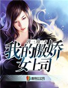 《我的傲娇女上司》
