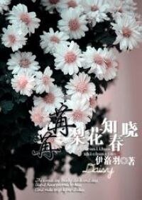 苒苒梨花知春晓(网游）