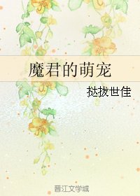 《魔君的萌宠》