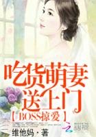 BOSS掠爱:吃货萌妻送上门