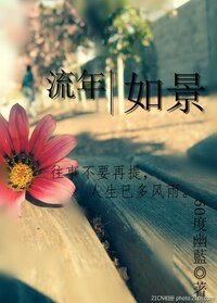 《流年如景》