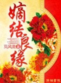 《嫡結良緣(穿越之錦繡良緣)》
