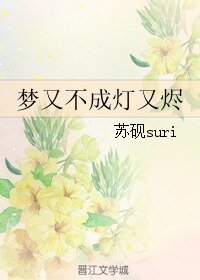 梦又不成灯又烬