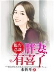《报告总裁,胖妻有喜了》