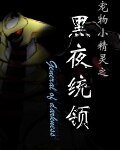 《(寵物小精靈同人)黑夜統領》