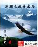 (射雕同人)射雕之我是宋兵乙