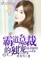 《霸道总裁的独宠:追妻99次》