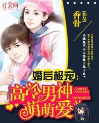 《婚後極寵:高冷男神萌萌愛》