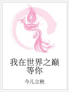 《我在世界之巅等你》