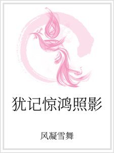犹记惊鸿照影