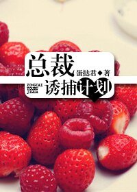 总裁诱捕计划（原版+新版）