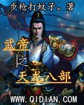《(天龍同人)武帝之天龍八部》
