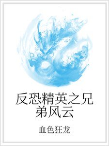 《反恐精英之兄弟风云》