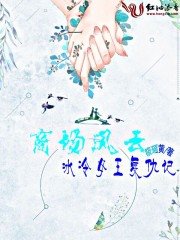 全息系统:小白生存法则