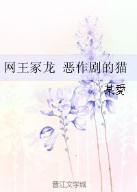 《(網王同人)網王冢龍 惡作劇的貓》