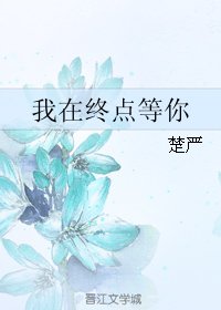 《我在终点等你》