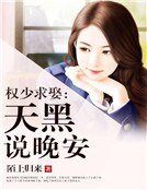 权少求娶:天黑说晚安