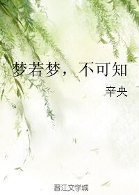 梦若梦,不可知