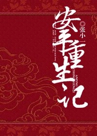 安平重生記