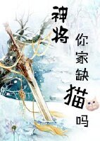 神将，你家缺猫吗