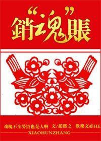 《銷“魂”賬/口袋賬》
