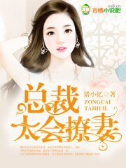 《婚心如初:總裁太會撩妻》