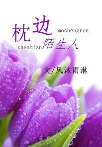 《枕邊陌生人》