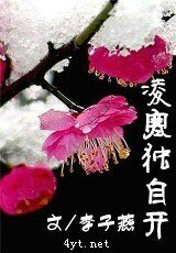 《凌寒独自开》