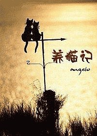 养猫记