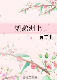 鹦鹉洲上/失足男青年拯救指南