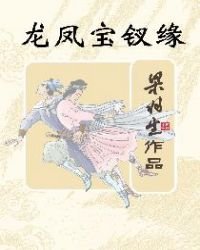 《龍鳳寶釵緣(簡體)》