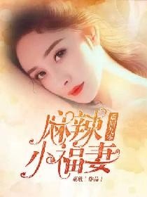 《重回九零麻辣小福妻》