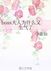 《boss大人为什么又生气了》