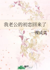 《我老公的初恋回来了》