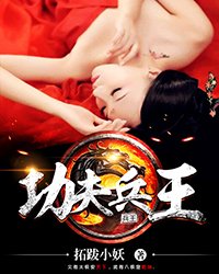 《功夫兵王》