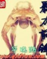 《暴力前鋒》