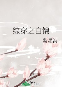 《(綜同人)綜穿之白錦》