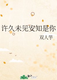 《许久未见安知是你》