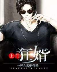 《上門狂婿》