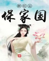 醉红尘保家国