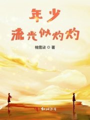 《年少流光似灼灼》