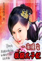後宮驚華:妖嬈太子妃