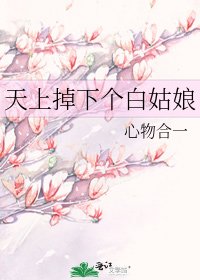 天上掉下個白姑娘