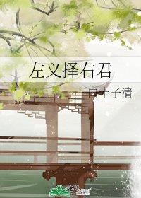 《左义择右君》