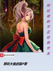 《阿拉德的不正經救世主》