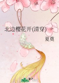 《北邊櫻花開(清穿)》