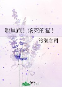 《哪里跑!该死的猫!》
