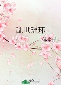 《乱世瑶环》