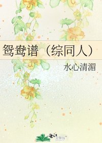 鸳鸯谱(综同人)