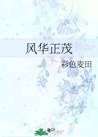 《风华正茂》